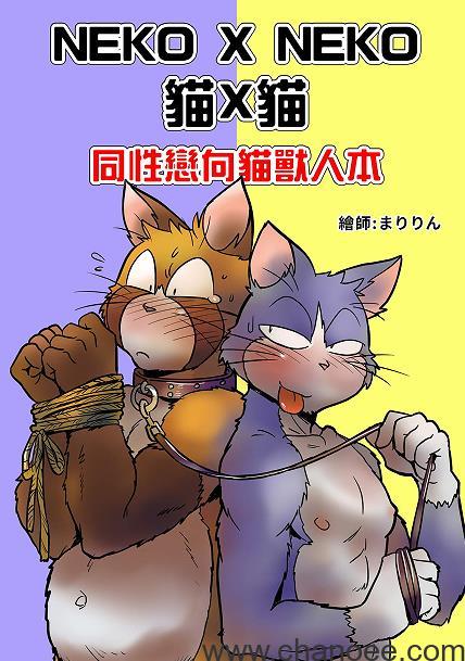 1692434227-0236e3d4678c3b8.jpg插图(2)