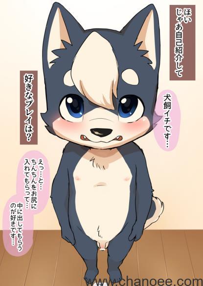 1672462975-97c0730860b1e0d.jpg插图(3)