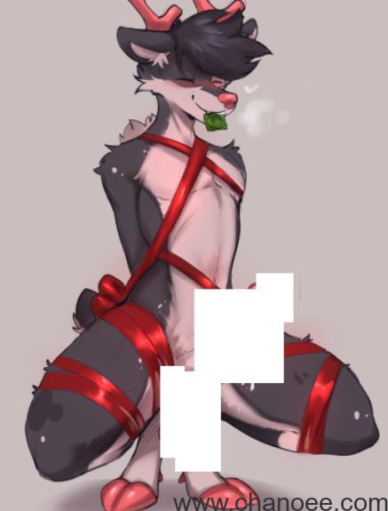 1695180909-2077cdc4018921a.jpg插图(2)
